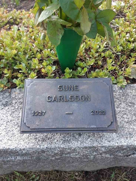 Grave number: 1 AG Båge    89