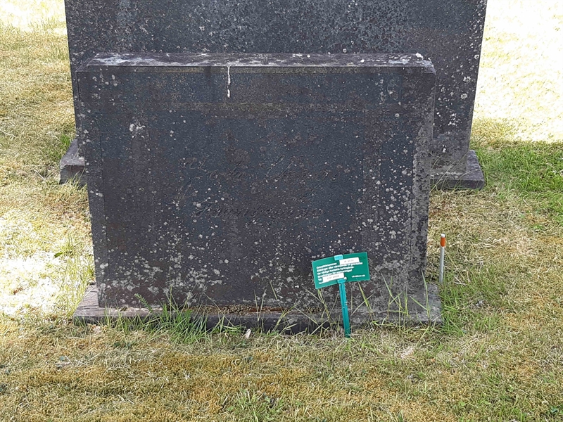 Grave number: JÄ 02    29