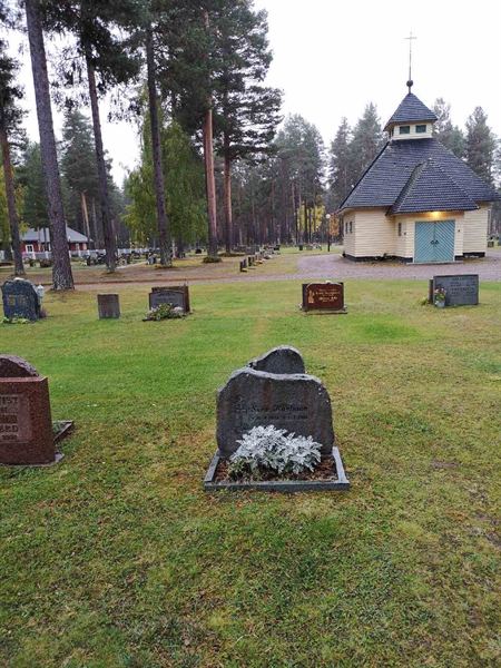 Hautatunnus: VLM 13    41