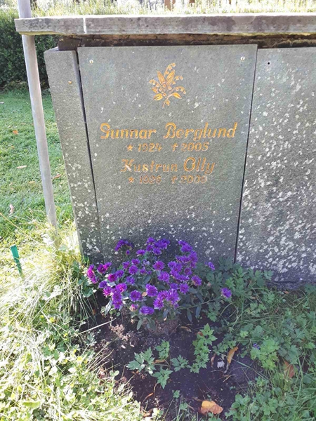 Gravnummer: GK U 4   473