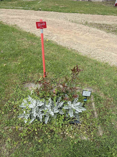 Grave number: 003 D    13