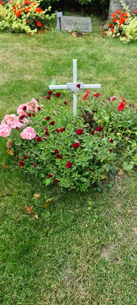 Grave number: M V  266