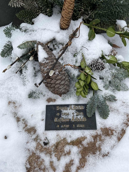 Gravnummer: SJ.A P    17