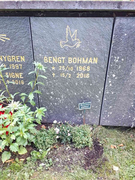 Gravnummer: GK U 4   317