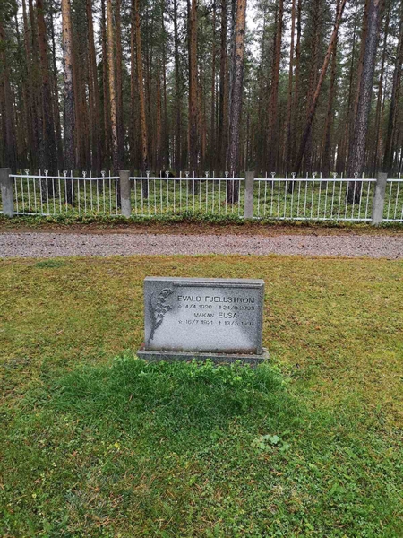 Hautatunnus: VLM 14   117-118