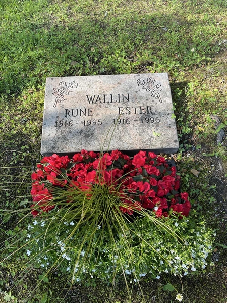 Grave number: R 5    22