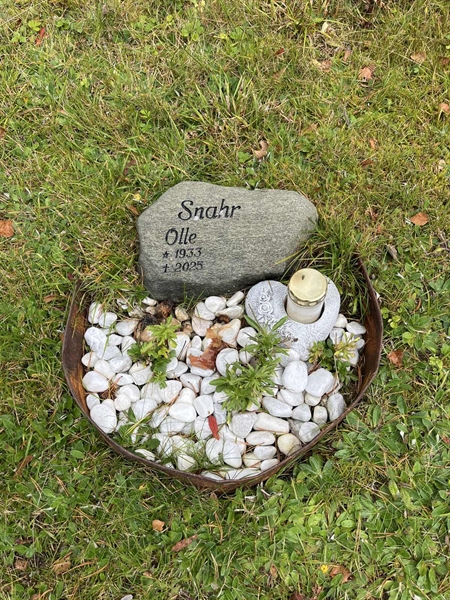 Grave number: 6 6    65