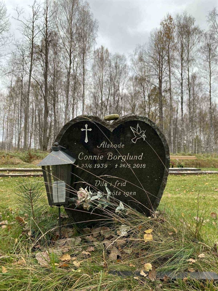 Grave number: 1 28     25