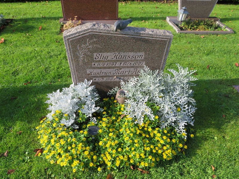 Grave number: 1 09  119