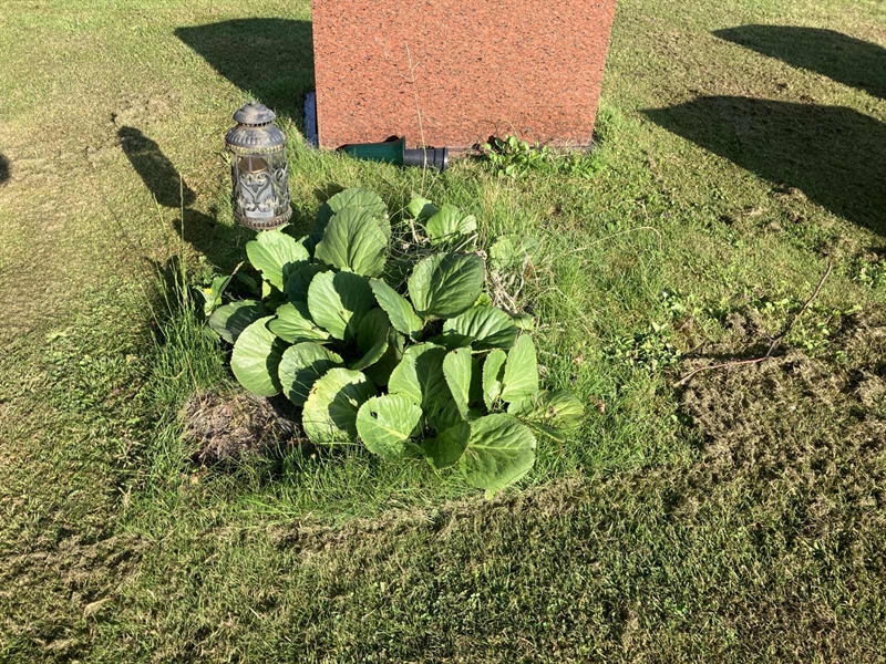 Grave number: R 02   279