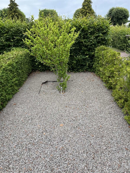 Grave number: NK I    57