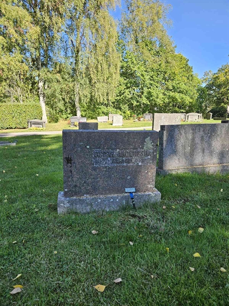 Grave number: Fr 7   238-239