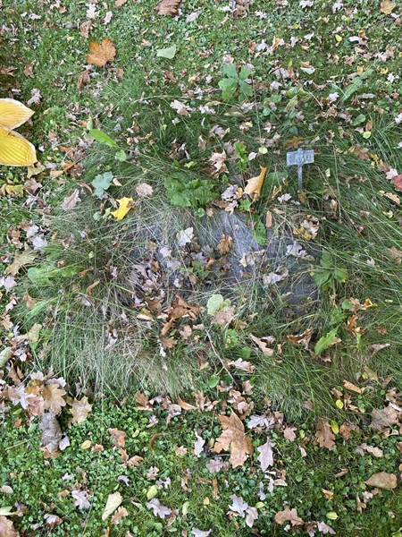 Gravnummer: 1 H   510