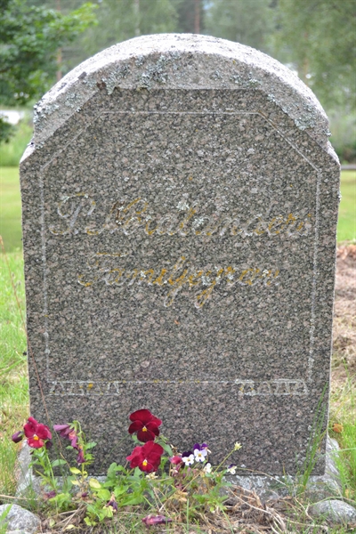 Grave number: 1 J   231