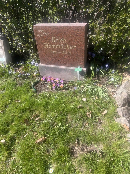 Grave number: 1 3 F1 247