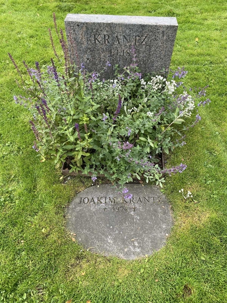 Gravnummer: 2 C    67-68