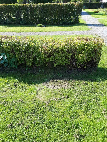 Hautatunnus: NK F G   248