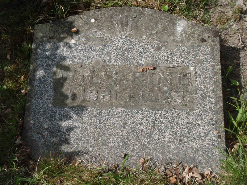 Grave number: 1 P2   279