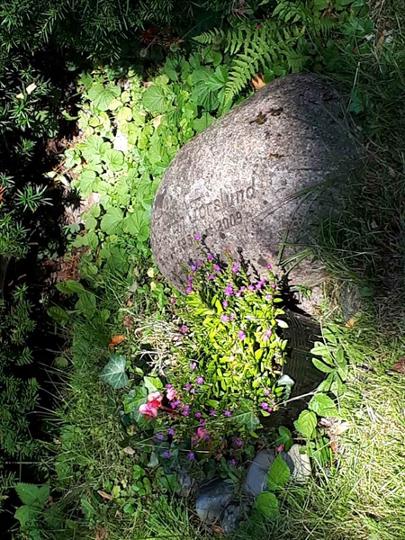 Gravnummer: GK U 4   623