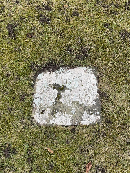 Hautatunnus: HA F    44