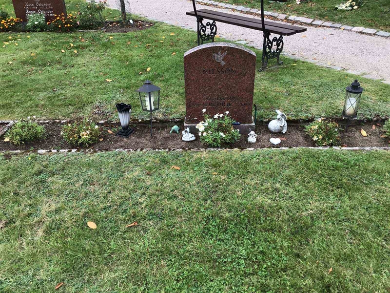 Grave number: 20 N   230-232