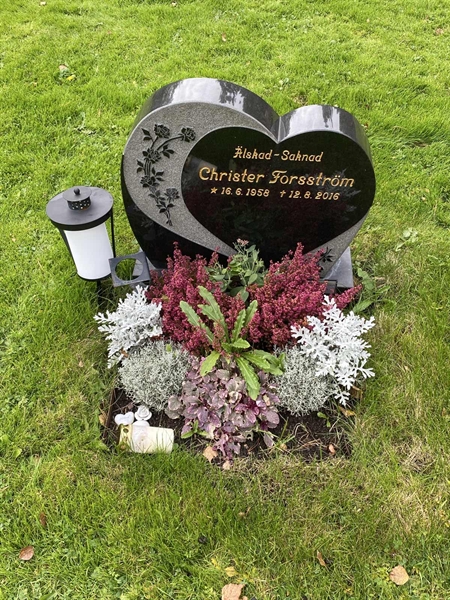 Hautatunnus: 2 C   120-121