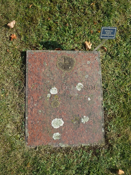 Grave number: HK C   175, 176
