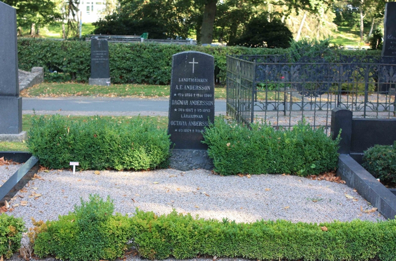 Grave number: Ö IÄ   247, 248