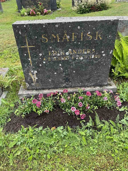 Hautatunnus: N 4 4   595