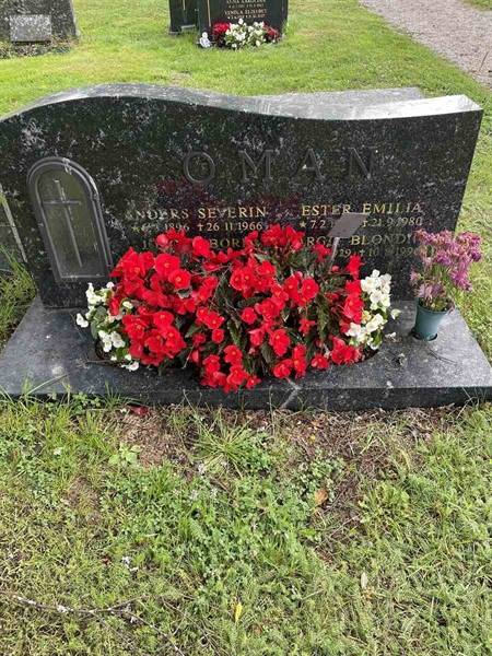 Gravnummer: N 4 3   373