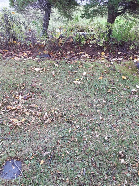 Gravnummer: GK F 1    63