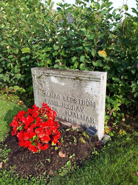 Hautatunnus: NK F C    23-24