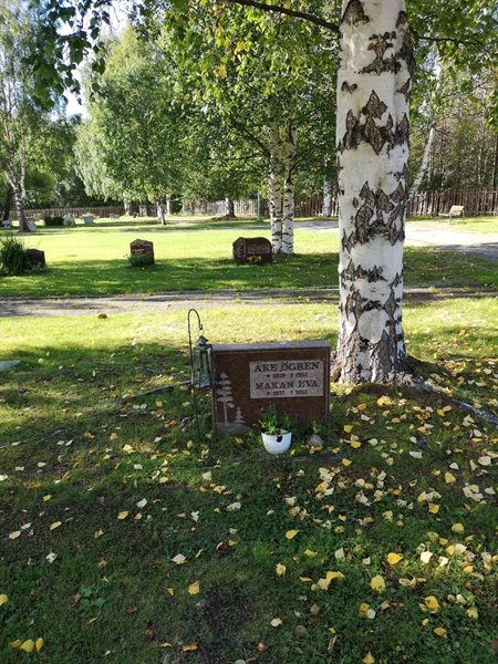 Hautatunnus: NK 18    33