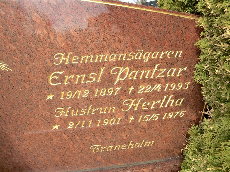 Grave number: SÅ 020:03