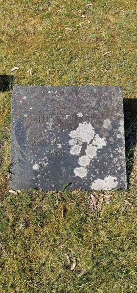 Grave number: F V C 195