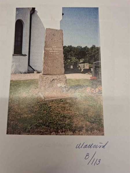 Gravnummer: 40 B   113