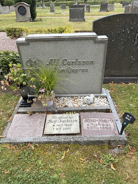 Grave number: 33 6    80-81