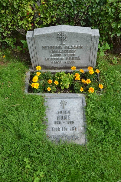 Grave number: 2 D   312