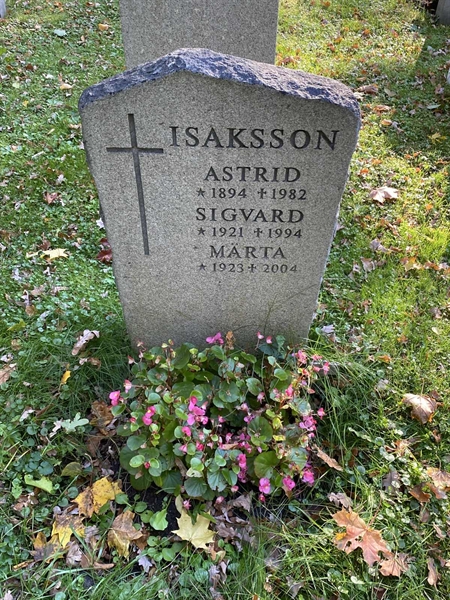 Gravnummer: 1 H   433