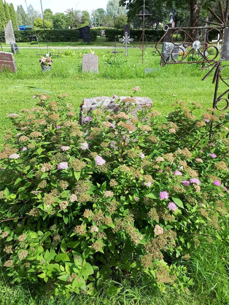 Hautatunnus: GK A 4   160V