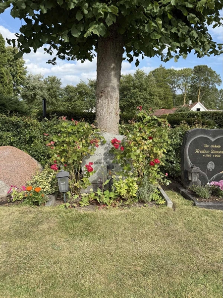 Grave number: ON C   659