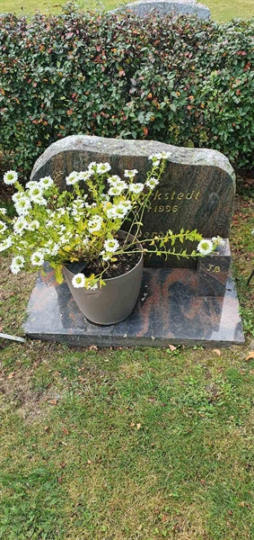 Grave number: N 007  0110