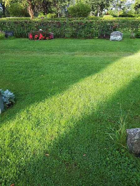 Gravnummer: NK A A   373