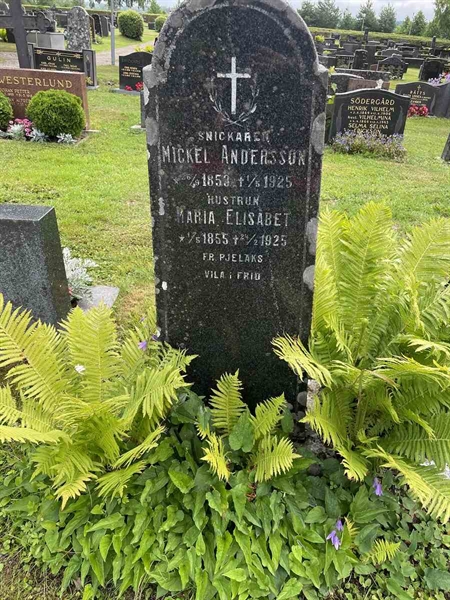 Gravnummer: N 4 3   425