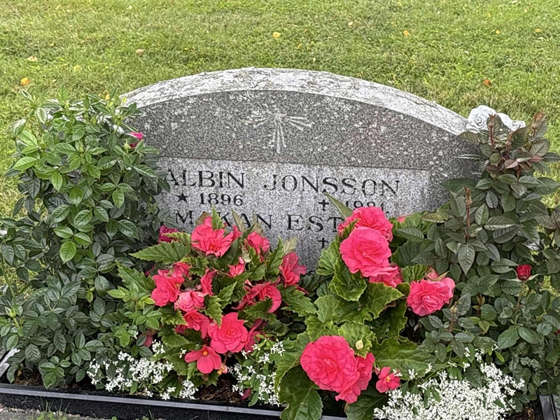 Grave number: IN 27   372