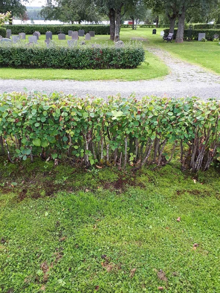 Gravnummer: NK F A   225