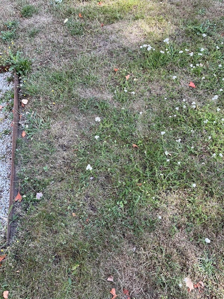 Grave number: NK XX:u   105