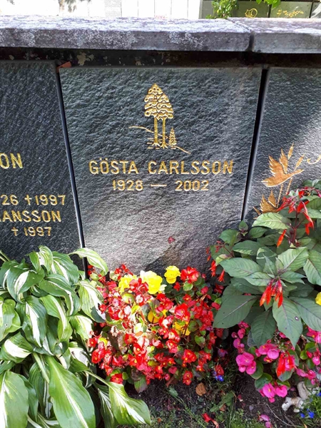 Hautatunnus: GK U 4   290