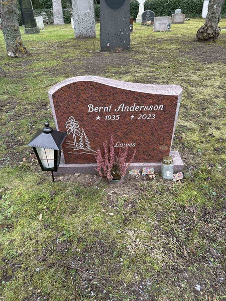 Gravnummer: LE   302b