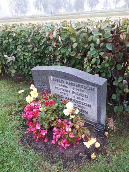 Hautatunnus: NK F B   215A